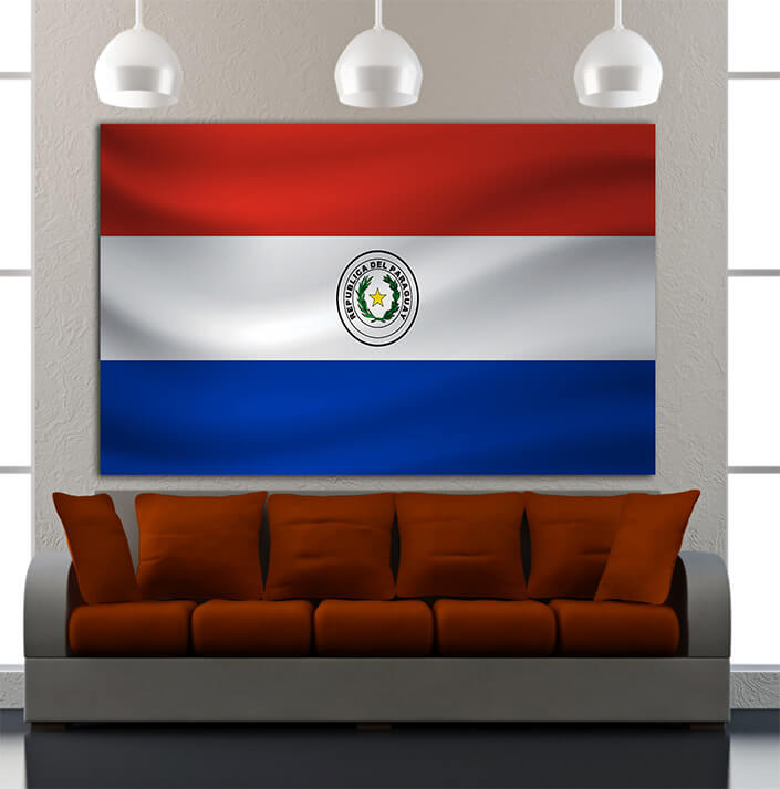 WEB07 0008 MP 0028 Paraguay Waving Flag AOAY4313