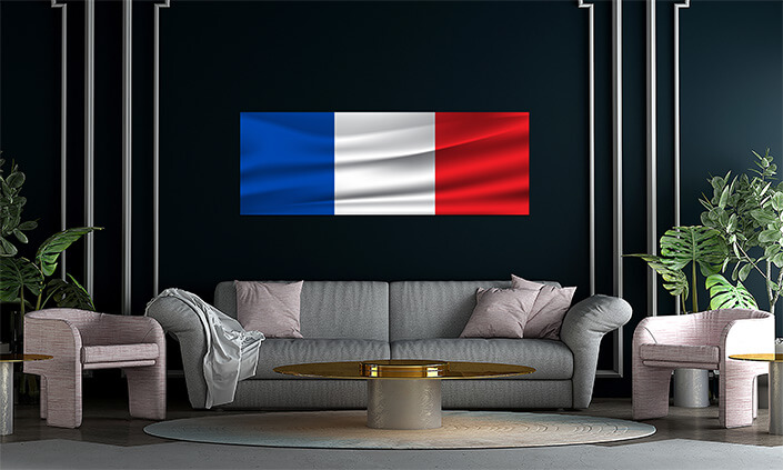 WEB07 0042 MP 0004 France flag waving AOAY4094