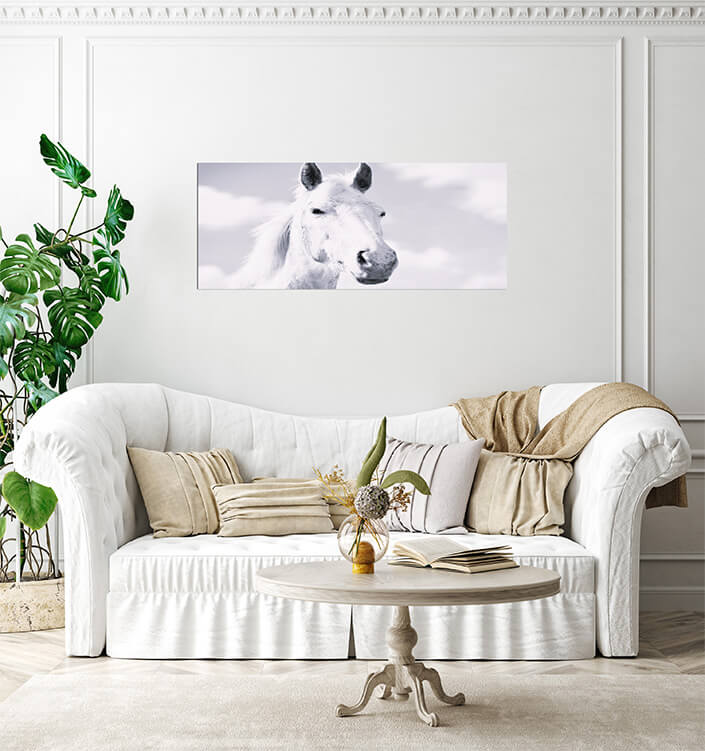 M3 0001 MP 0029 47582978 A mustang horse W&B AOAY4533