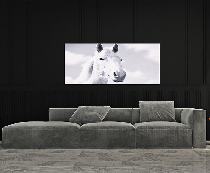 M4 0001 MP 0029 47582978 A mustang horse W&B AOAY4533