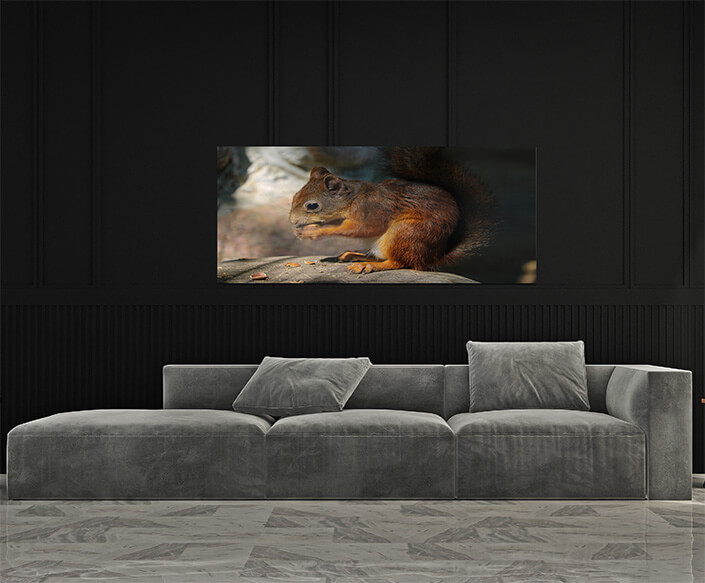 M4 0018 MP 0016 34141458 a squirrel sits on a stone and eats a nut AOAY4517