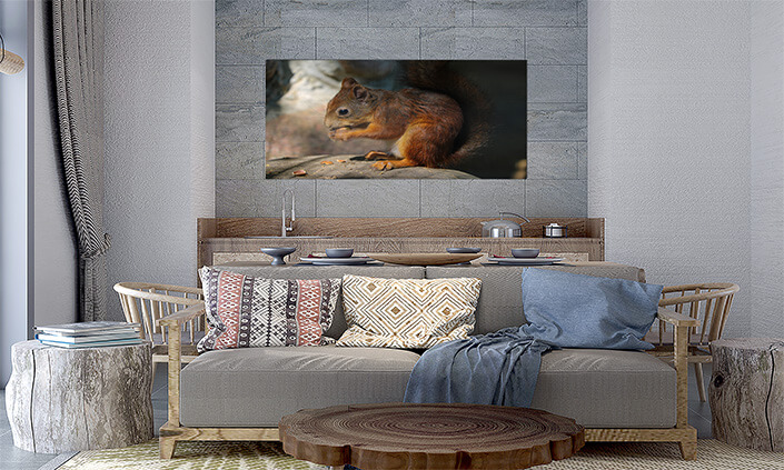 M5 0018 MP 0016 34141458 a squirrel sits on a stone and eats a nut AOAY4517