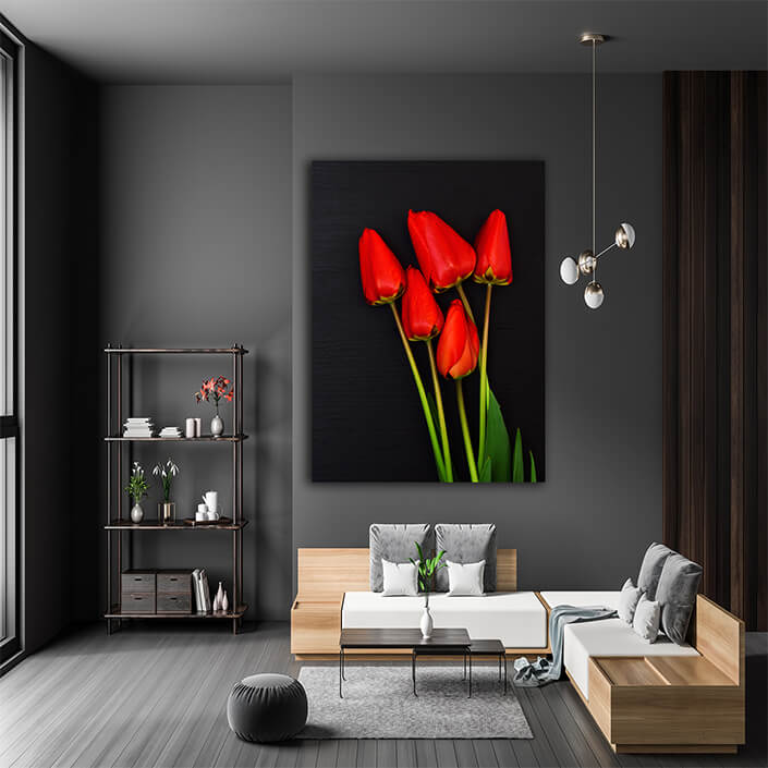 WEB001 0004 Mockups 0015 30785798 five red blooming tulips AOAY7526