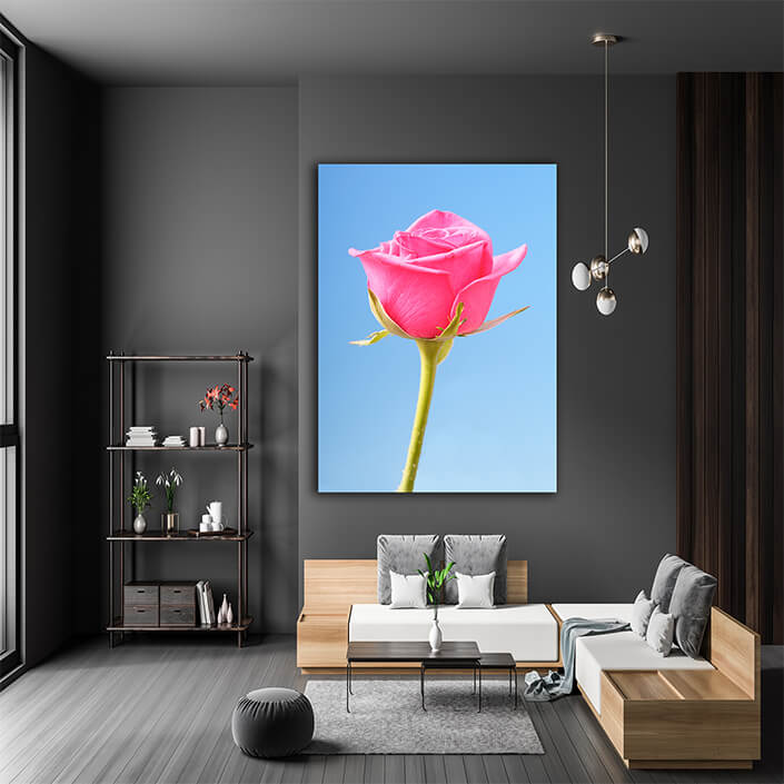 WEB001 0007 Mockups 0012 34609652 still life photography AOAY7529