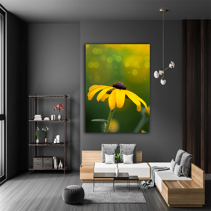 WEB001 0036 Mockups 0047 2346773 The yellow flower AOAY7490