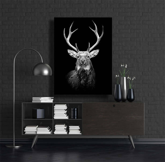 WEB002 0013 MP 0023 22503884 deer on dark background AOAY5520