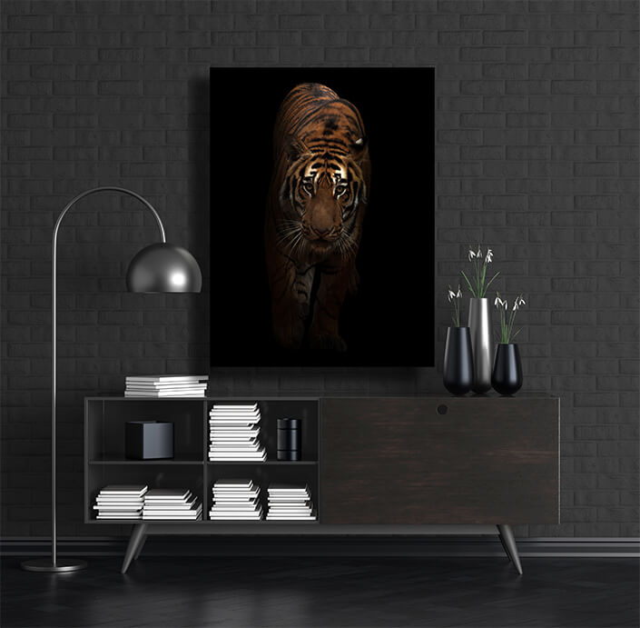 WEB002 0021 MP 0015 27803470 bengal tiger in the dark AOAY6821