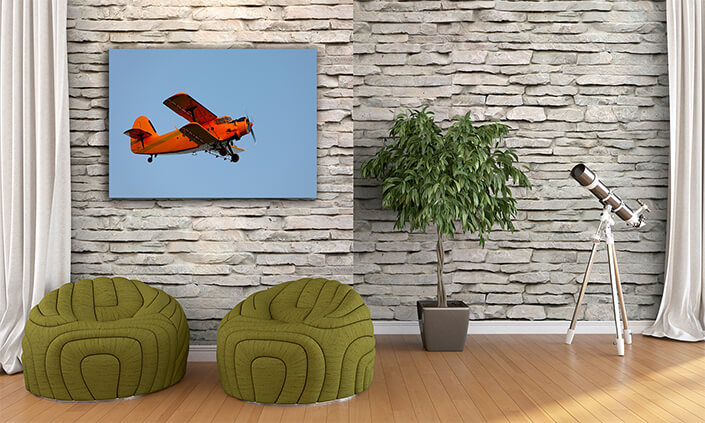 WEB002 0054 MP 0041 7398072 small Old plane for agricultural AOAY7212