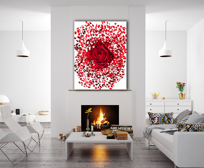 WEB002 0054 Mockups 0028 14104932 close up of red rose exploding AOAY7509