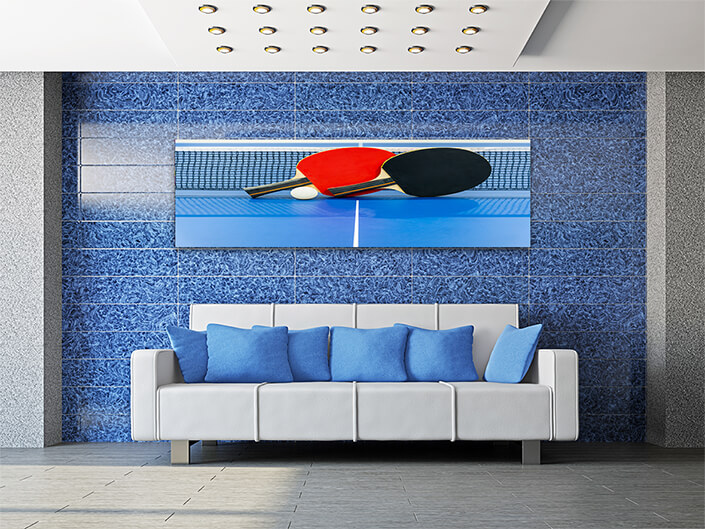 WEB002 0073 ML 0032 36858430 black and red table tennis paddle with a net AOAY5713