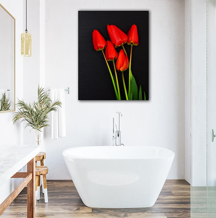 WEB003 0004 Mockups 0015 30785798 five red blooming tulips AOAY7526