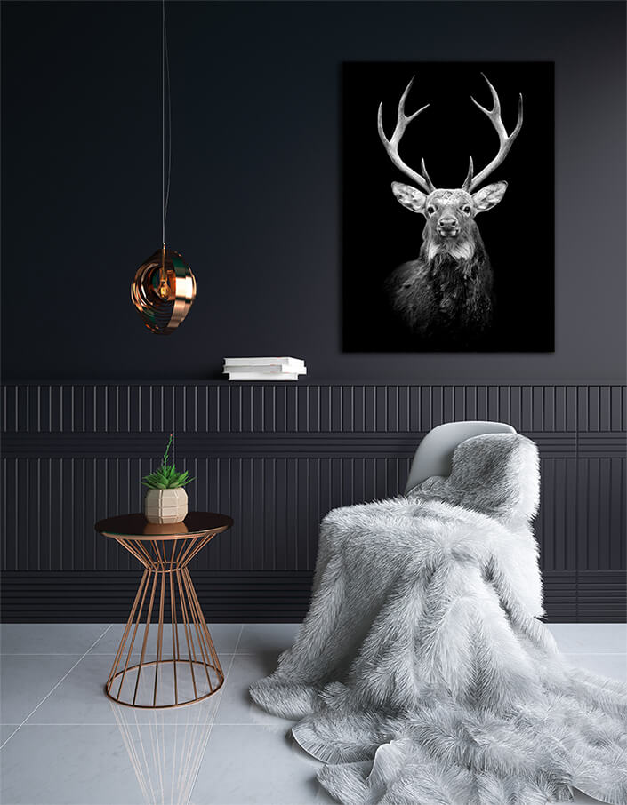 WEB003 0013 MP 0023 22503884 deer on dark background AOAY5520