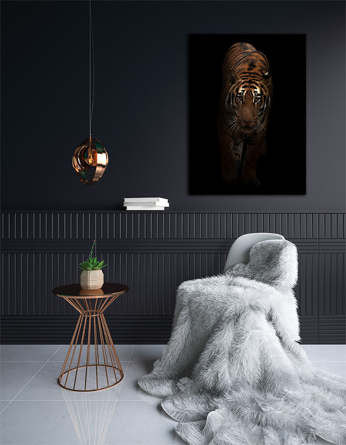 WEB003 0021 MP 0015 27803470 bengal tiger in the dark AOAY6821