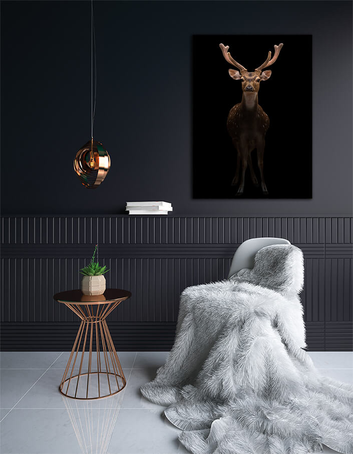 WEB003 0022 MP 0014 27815352 male axis deer in the dark AOAY6827