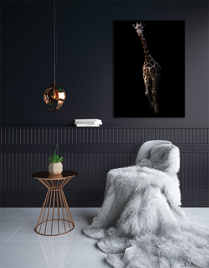 WEB003 0023 MP 0013 27815378 giraffe standing in the dark AOAY6828
