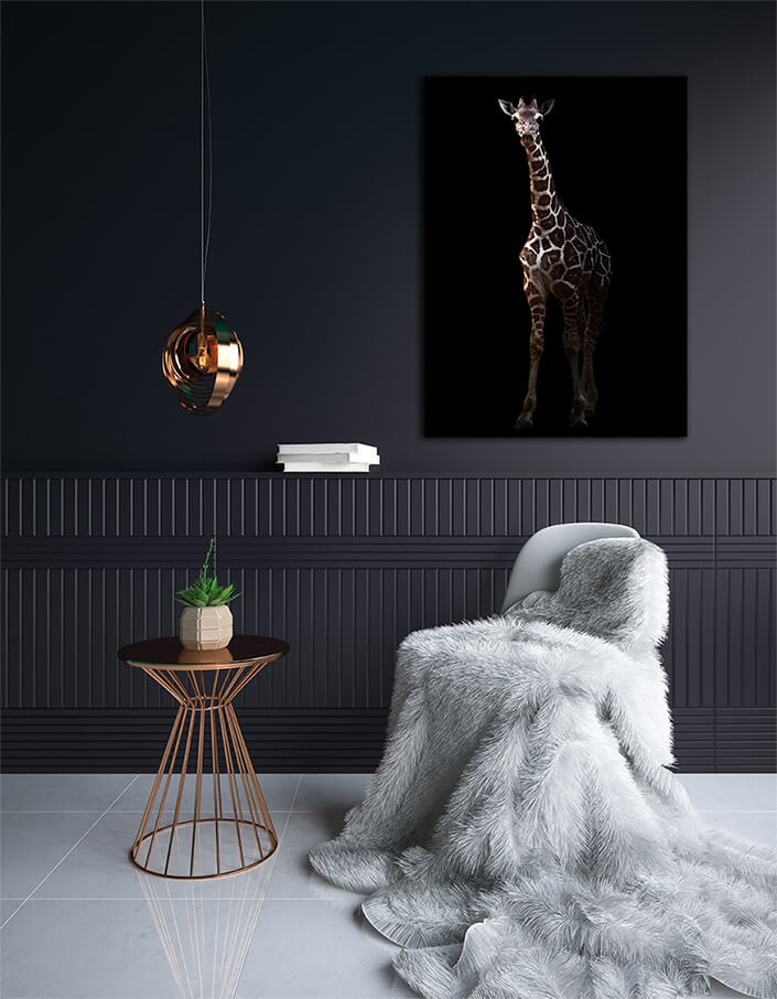 WEB003_0024_MP_0012_27815386_giraffe standing in the dark AOAY4633