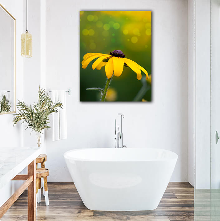 WEB003 0035 Mockups 0047 2346773 The yellow flower AOAY7490