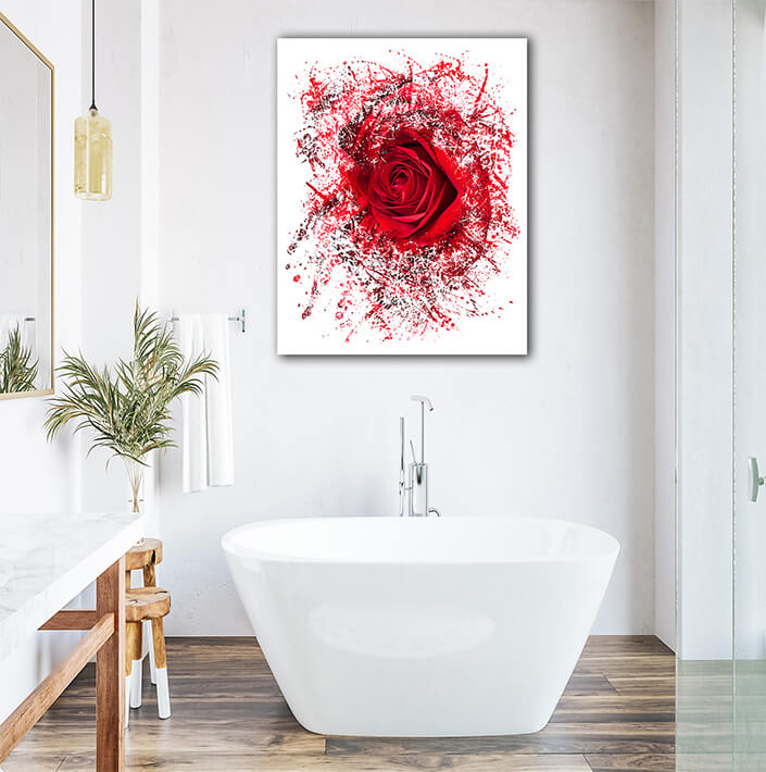 WEB003 0053 Mockups 0029 14104926 close up of red rose exploding AOAY7508