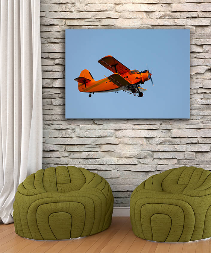 WEB003 0054 MP 0041 7398072 small Old plane for agricultural AOAY7212