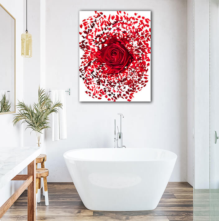 WEB003 0054 Mockups 0028 14104932 close up of red rose exploding AOAY7509