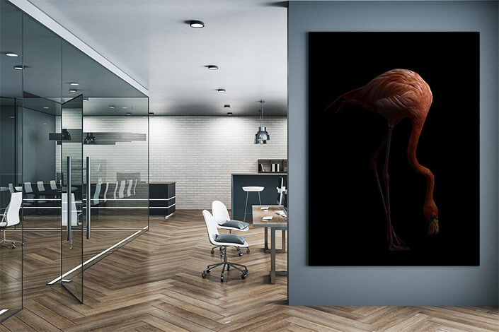 WEB004 0002 MP 0007 28009268 The american flamingo bird in the dark AOAY6445