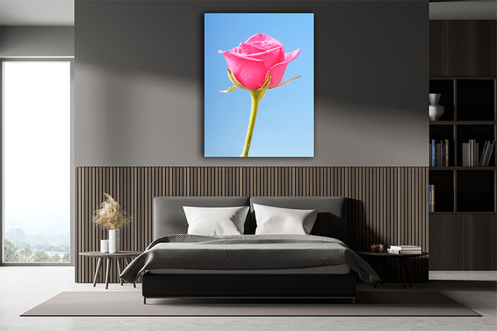 WEB004 0006 Mockups 0012 34609652 still life photographyAOAY7529