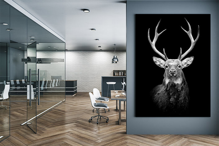 WEB004 0013 MP 0023 22503884 deer on dark background AOAY5520