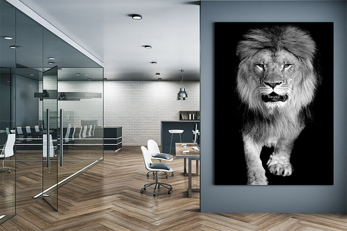 WEB004 0014 MP 0022 22503926 lion on dark background AOAY5524