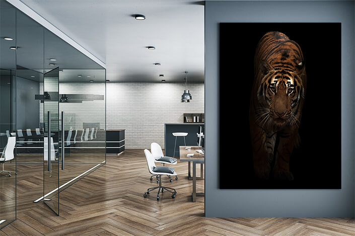WEB004 0021 MP 0015 27803470 bengal tiger in the dark AOAY6821
