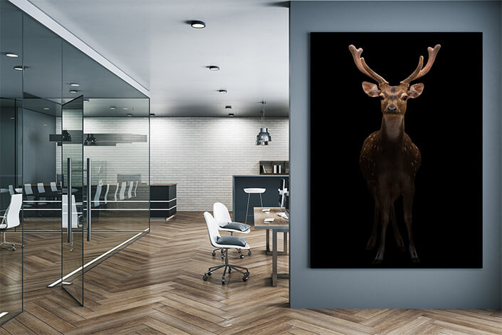 WEB004 0022 MP 0014 27815352 male axis deer in the dark AOAY6827