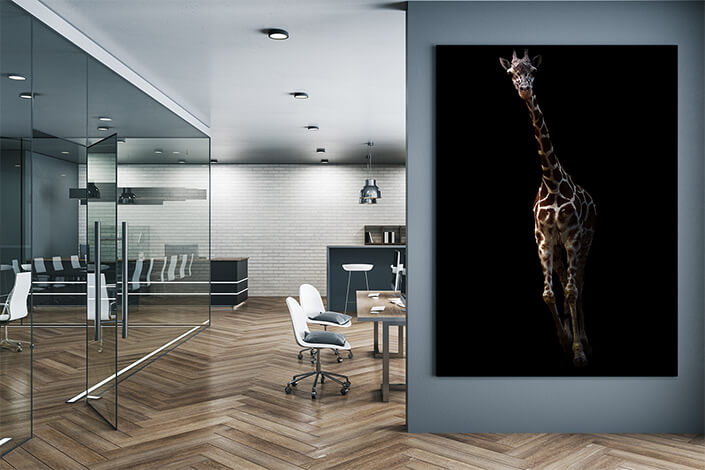 WEB004 0023 MP 0013 27815378 giraffe standing in the dark AOAY6828