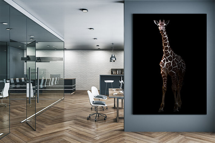WEB004_0024_MP_0012_27815386_giraffe standing in the dark AOAY4633