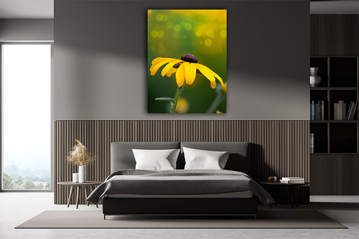 WEB004 0035 Mockups 0047 2346773 The yellow flower AOAY7490