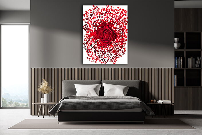 WEB004 0054 Mockups 0028 14104932 close up of red rose exploding AOAY7509