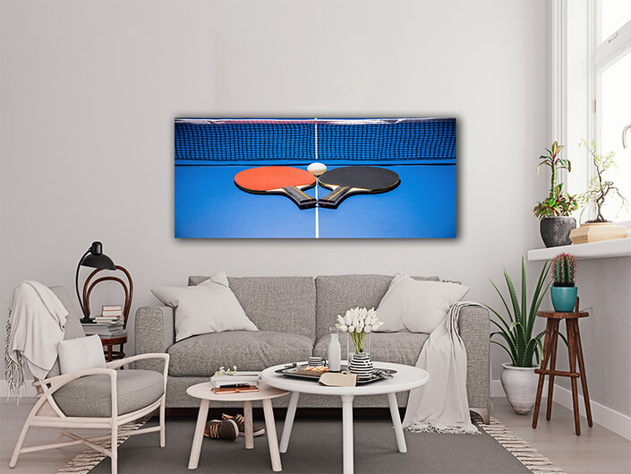 WEB006 0002 ML 0033 36843102 black and red table tennis paddle with a net AOAY5712