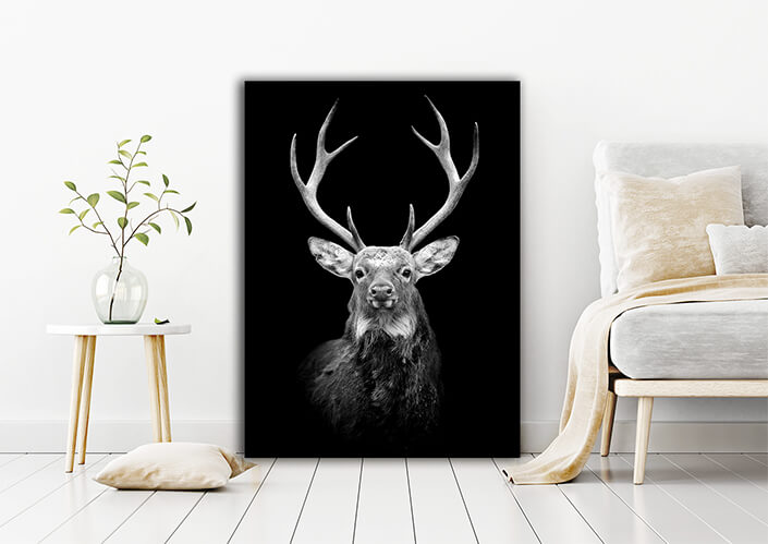 WEB006 0013 MP 0023 22503884 deer on dark background AOAY5520