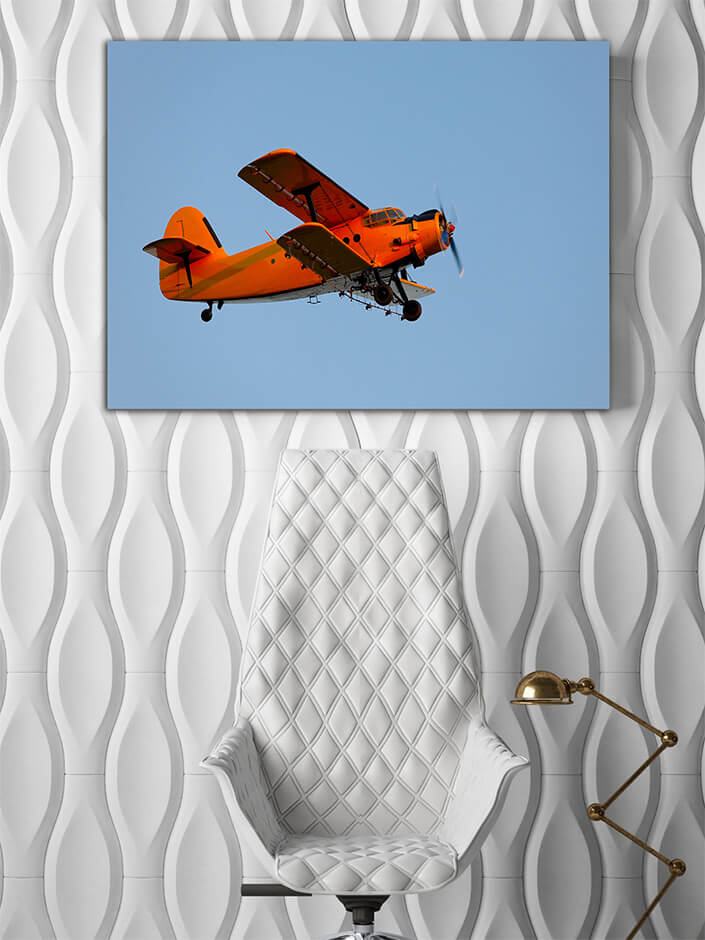 WEB007 0054 MP 0041 7398072 small Old plane for agricultural AOAY7212