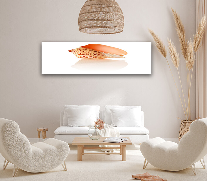 WEB002 0008 ML 0030 7189514 shell 05 AOAY6663