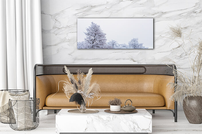 WEB002 0012 MP 0012 34522056 top of frozen winter forest landscape at cloudy weather AOAY6725