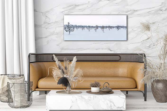 WEB002 0013 MP 0011 34524168 winter apple garden deadpan AOAY6726