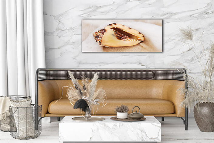 WEB002 0025 MP 0031 7160752 shell 003 AOAY6662