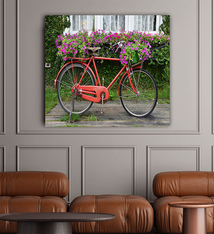 WEB002 0027 ML 0051 22598886 bicycle is red with the small basket AOAY7054
