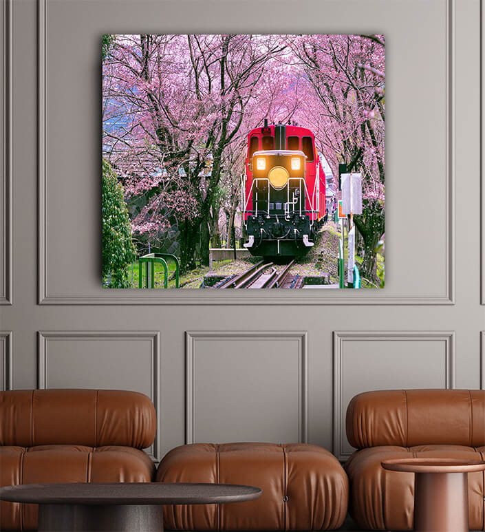 WEB002 0043 ML 0034 30238786 romantic train runs through tunnel of cherry blossoms in kyoto japan AOAY6464