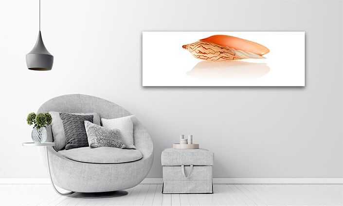 WEB003 0008 ML 0030 7189514 shell 05 AOAY6663