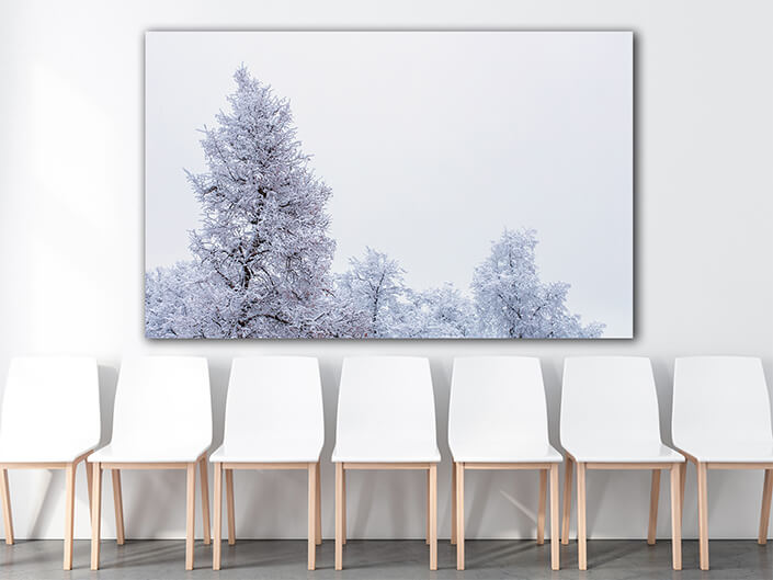 WEB003 0012 MP 0012 34522056 top of frozen winter forest landscape at cloudy weather AOAY6725