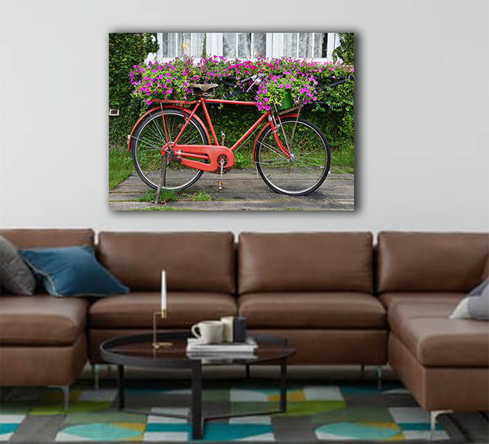 WEB003 0022 ML 0051 22598886 bicycle is red with the small basket AOAY7054