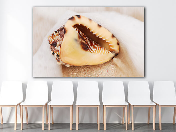 WEB003 0025 MP 0031 7160752 shell 003 AOAY6662