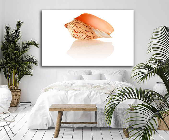 WEB004 0008 ML 0030 7189514 shell 05 AOAY6663