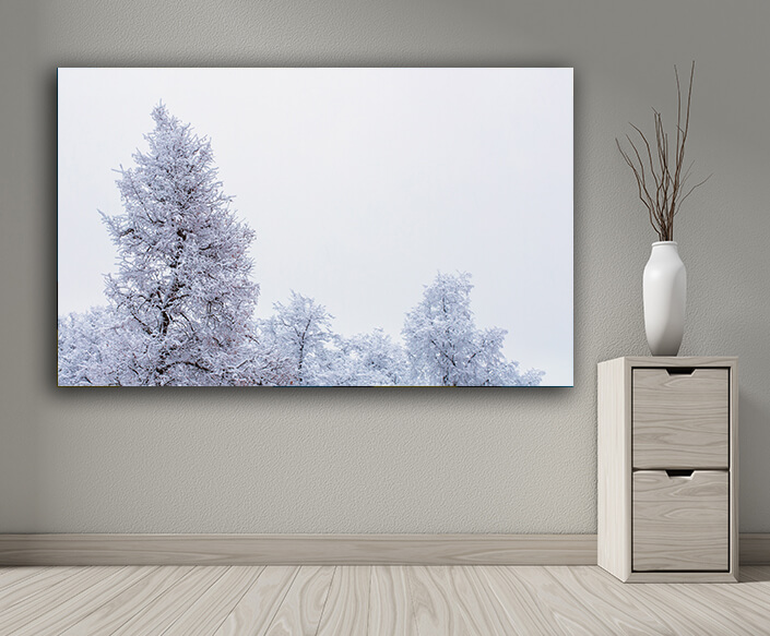 WEB004 0012 MP 0012 34522056 top of frozen winter forest landscape at cloudy weather AOAY6725