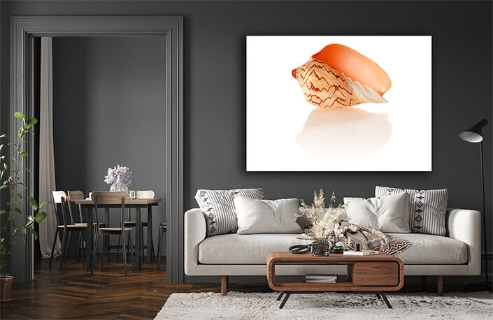 WEB005 0008 ML 0030 7189514 shell 05 AOAY6663